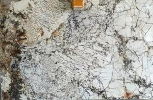 Alpinus Quartzite Chattanooga